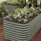 Modular – The Deep Root 32″