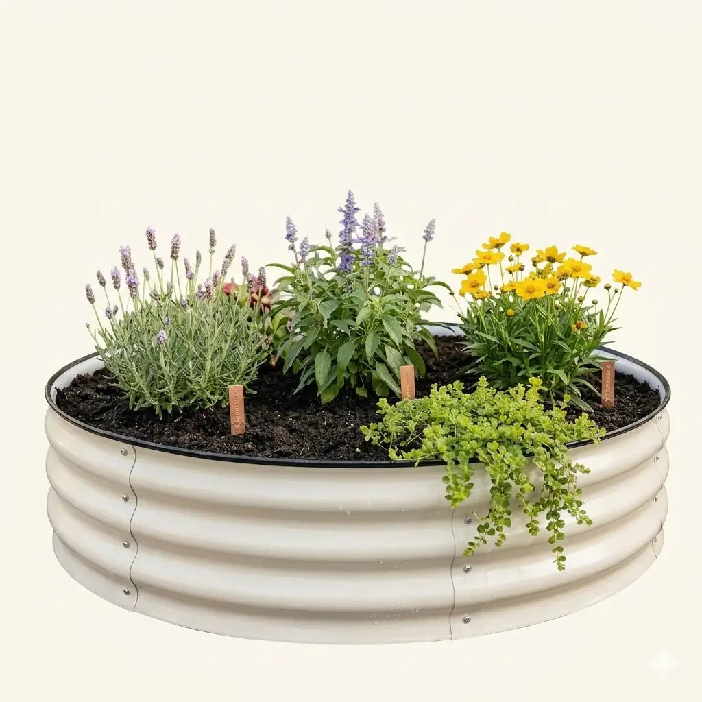 Ring – The Compact 8″