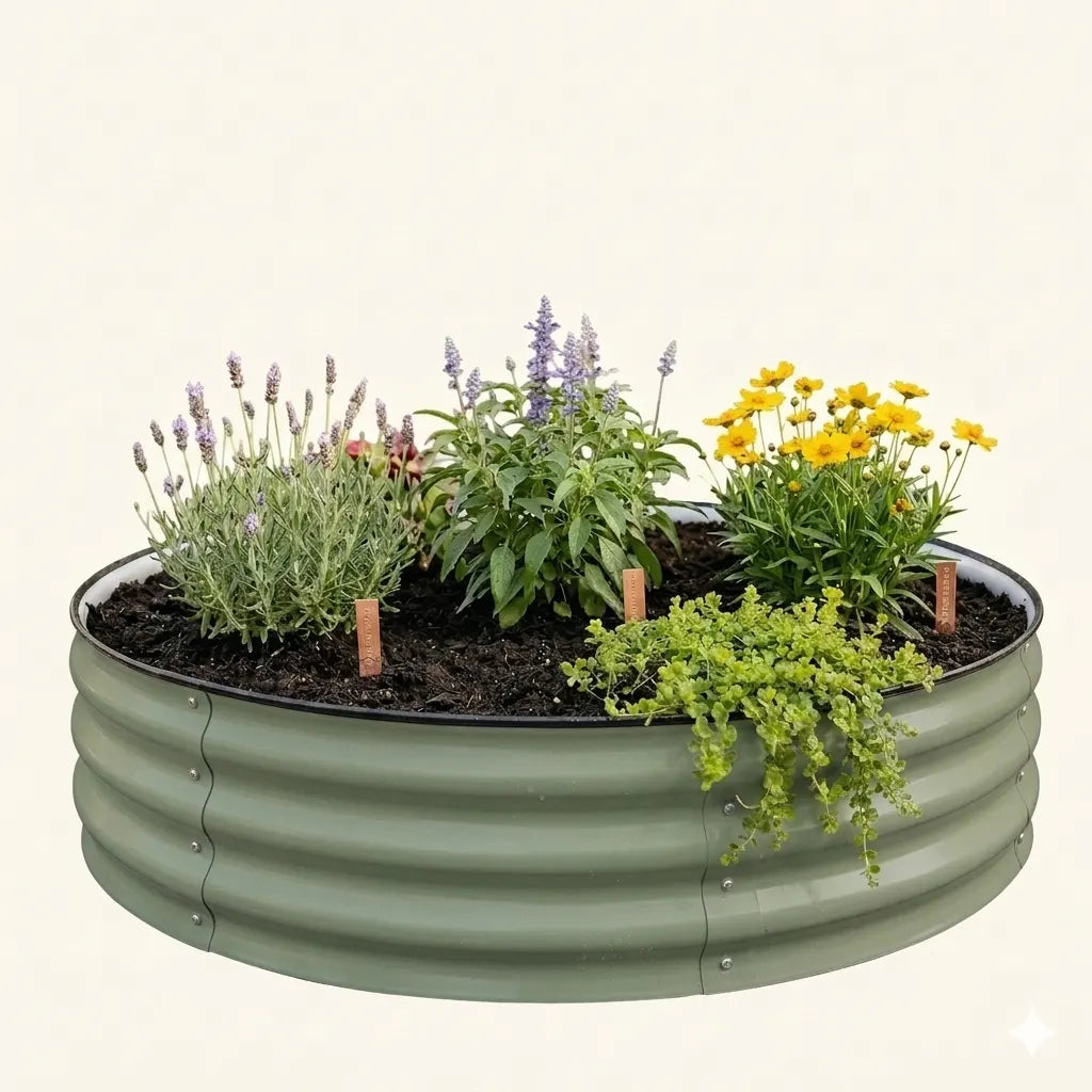 Ring – The Compact 8″