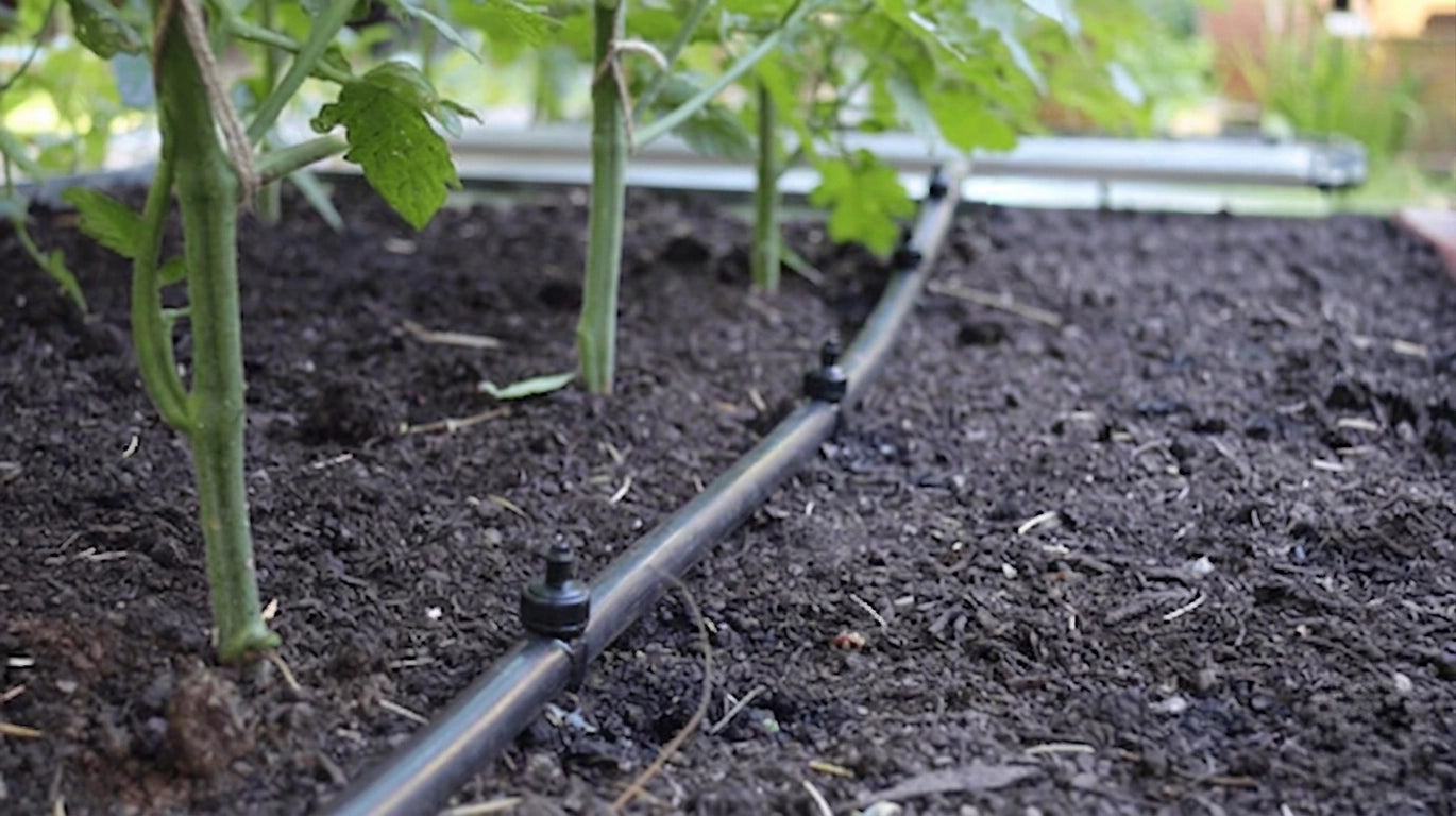 Optional: Set Up Irrigation