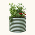 Green corrugated metal planter with plants on a white background